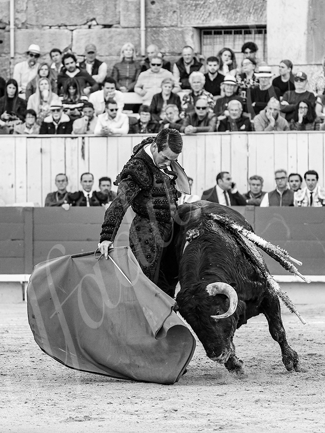 20260404 arles fd 018 copie