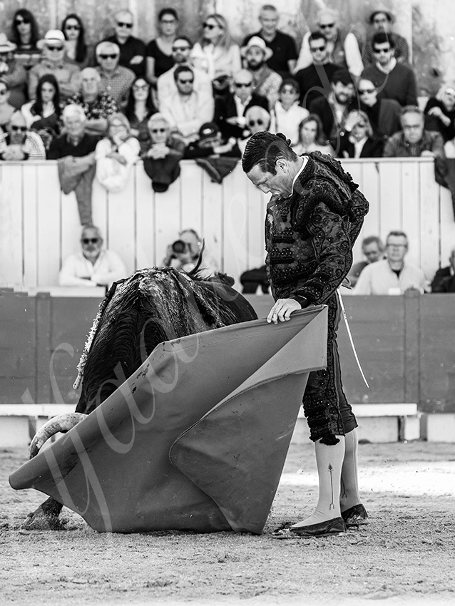 20260404 arles fd 017 copie