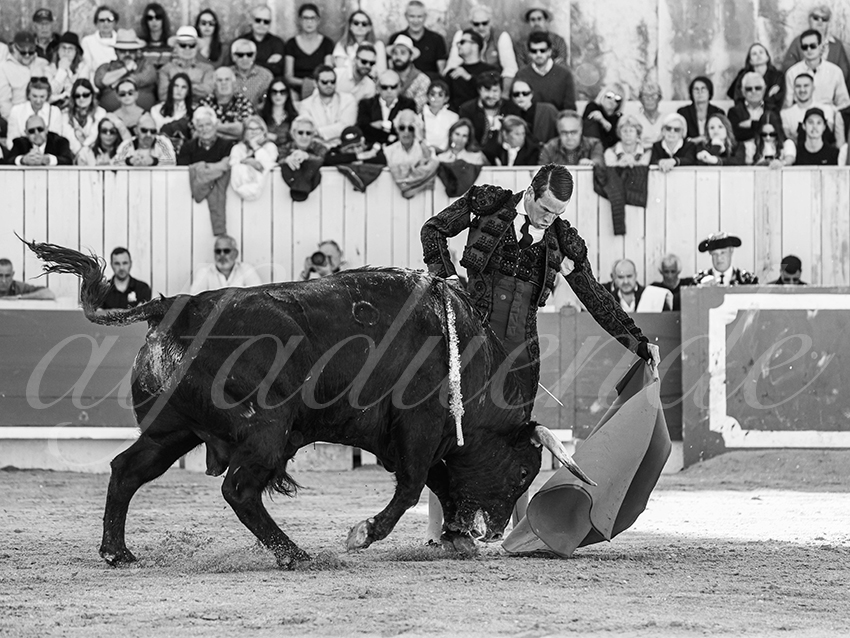 20260404 arles fd 016 copie