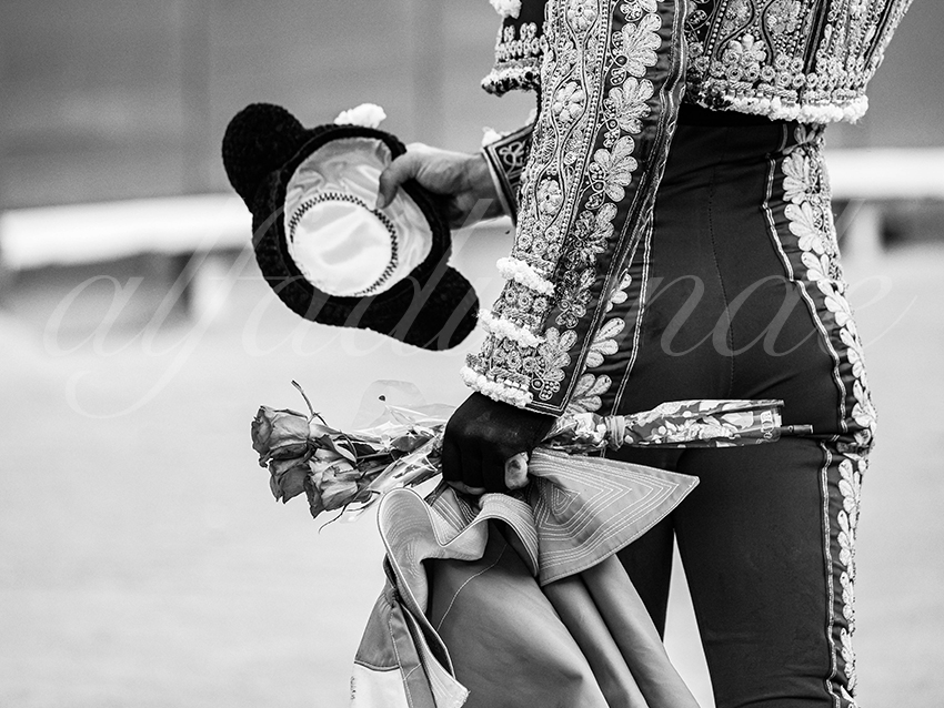 20260404 arles fd 015 copie