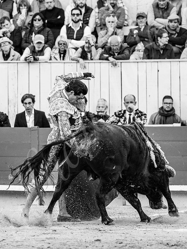 20260404 arles fd 014 copie