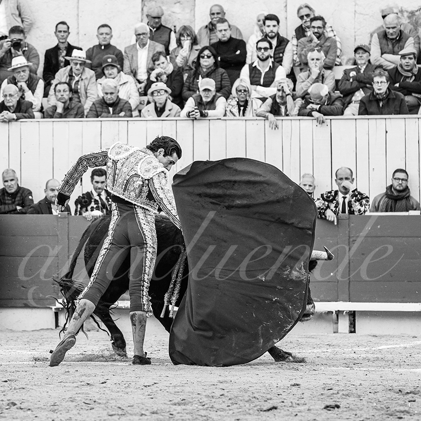 20260404 arles fd 013 copie