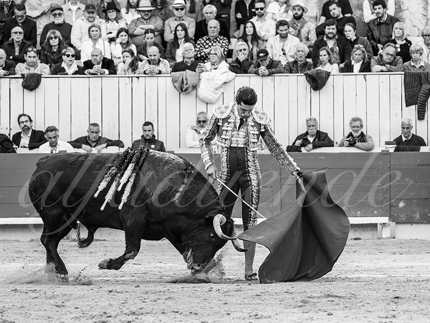 20260404 arles fd 012 copie