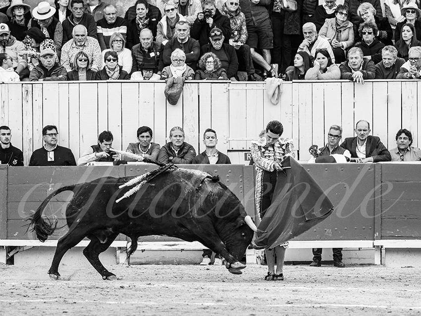 20260404 arles fd 011 copie