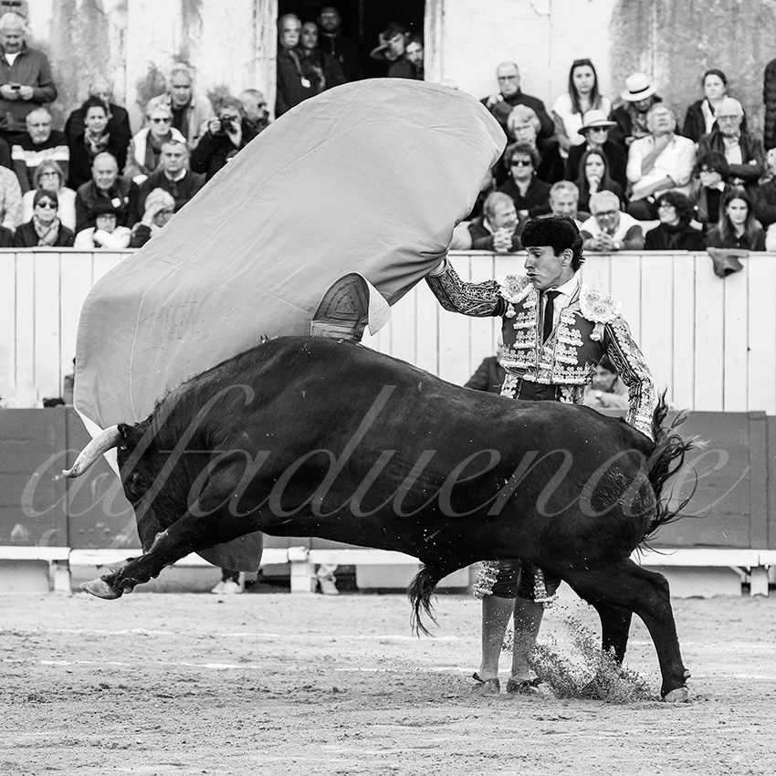 20260404 arles fd 010 copie