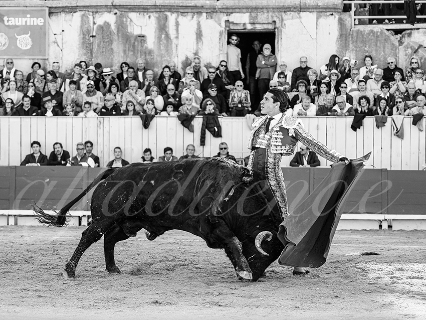 20260404 arles fd 008 copie