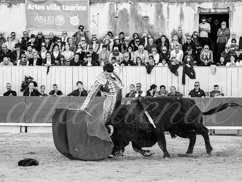 20260404 arles fd 007 copie