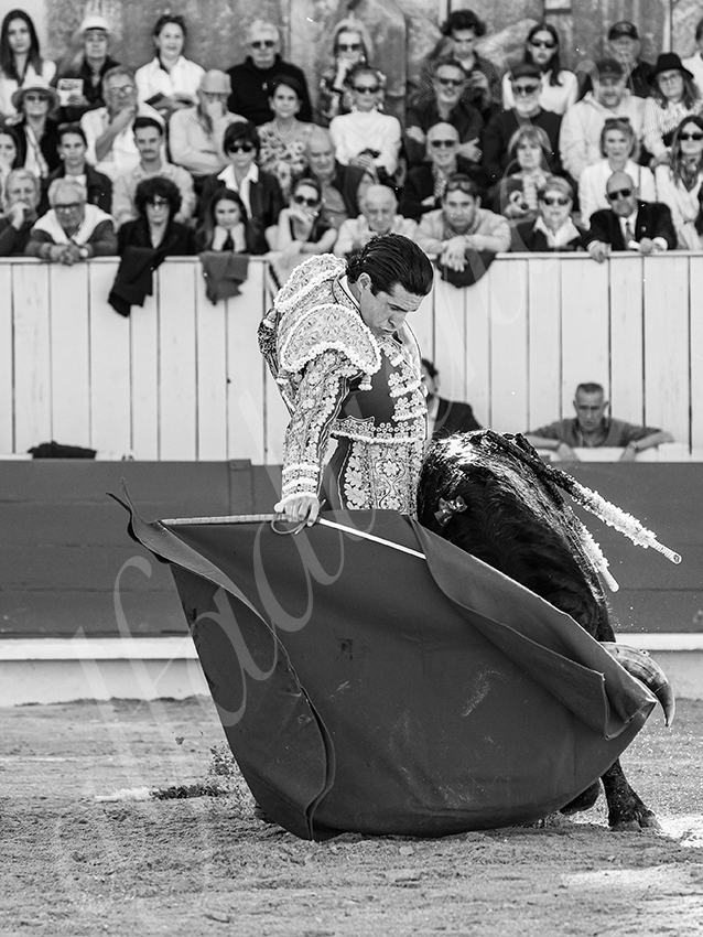 20260404 arles fd 006 copie