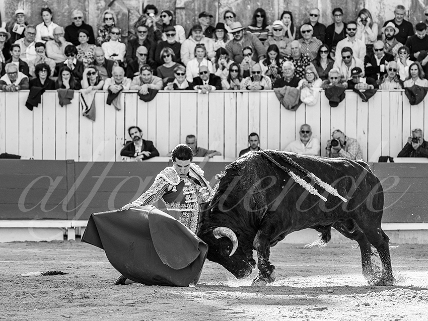 20260404 arles fd 005 copie