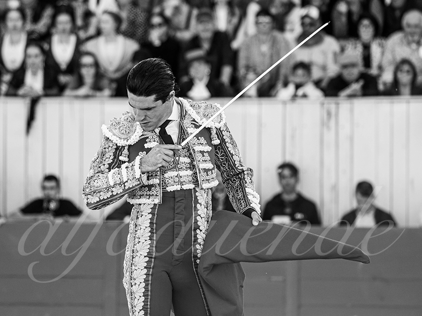 20260404 arles fd 004 copie