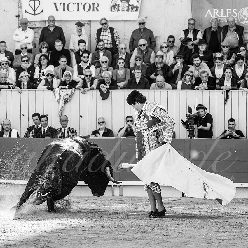 20260404 arles fd 003 copie