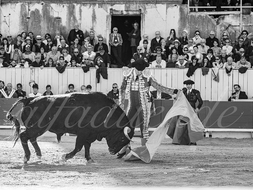 20260404 arles fd 002 copie