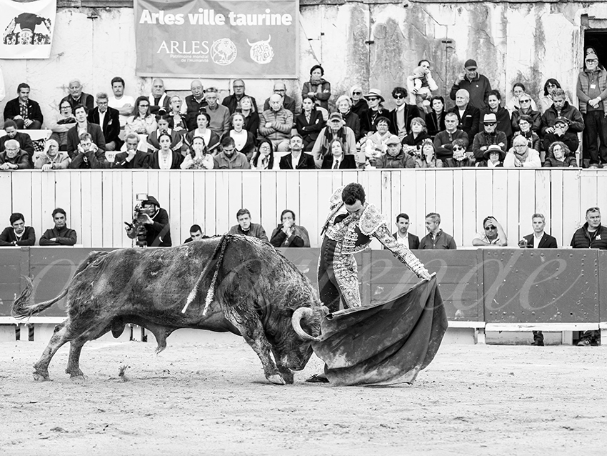 20260405 arles fd 019