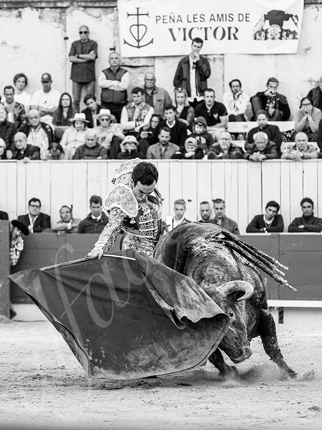 20260405 arles fd 018