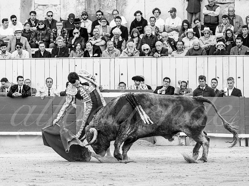 20260405 arles fd 016