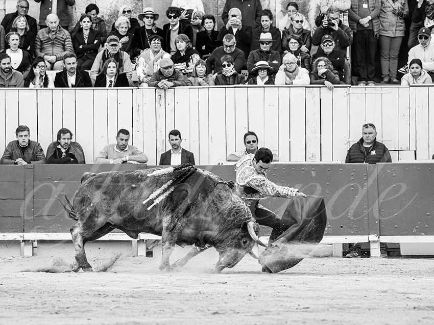 20260405 arles fd 015