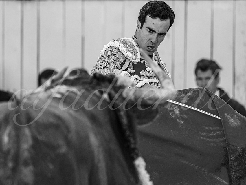 20260405 arles fd 014