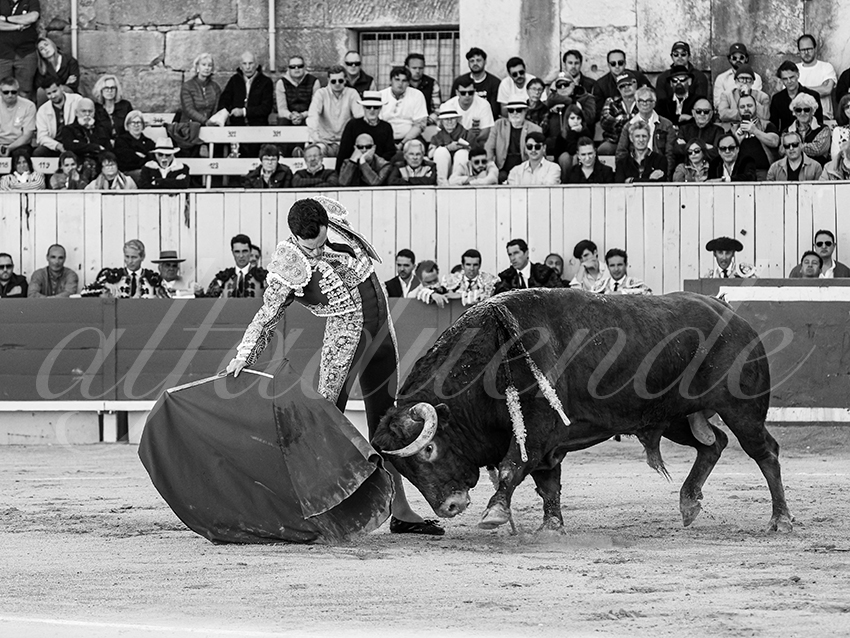 20260405 arles fd 013