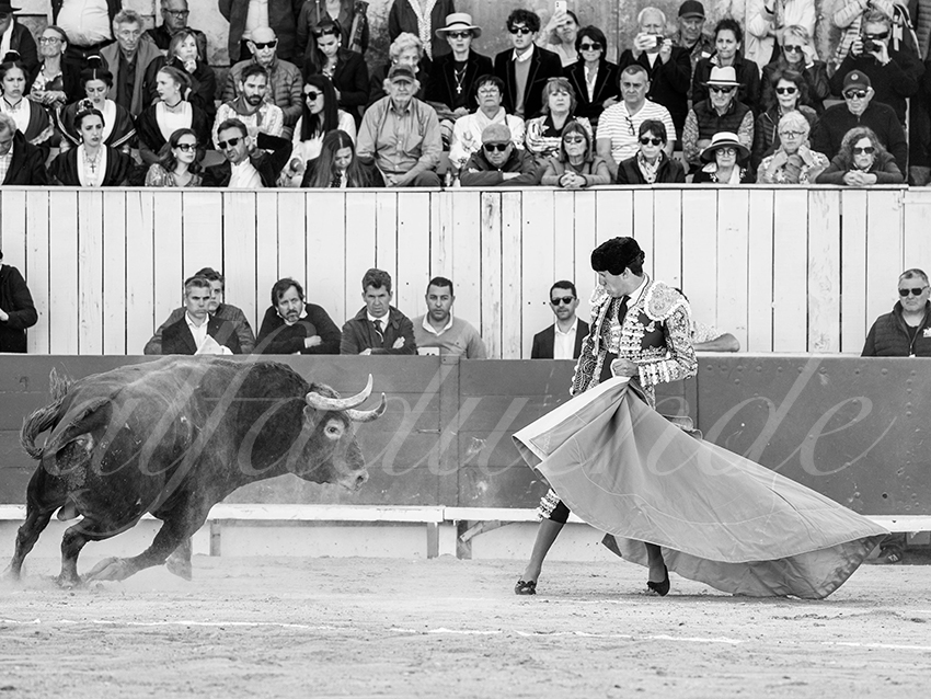 20260405 arles fd 012