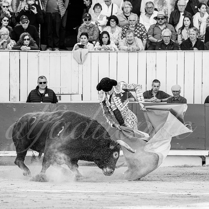 20260405 arles fd 011