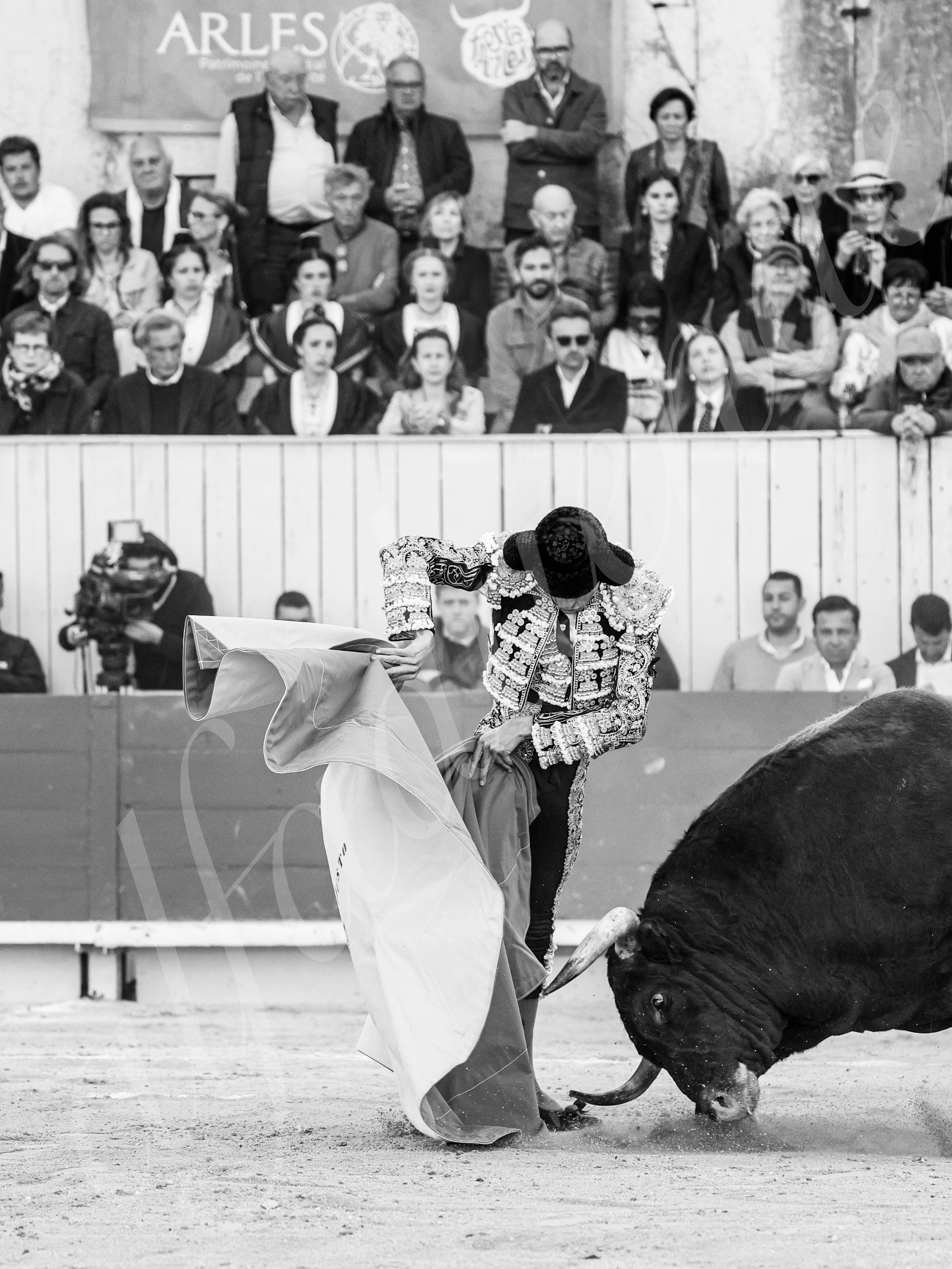 20260405 arles fd 010