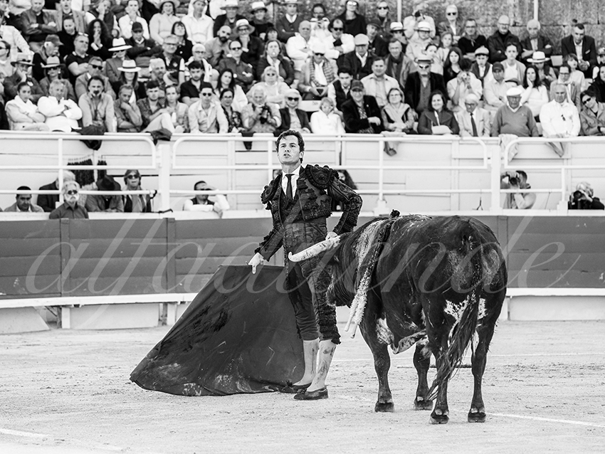 20260405 arles fd 009