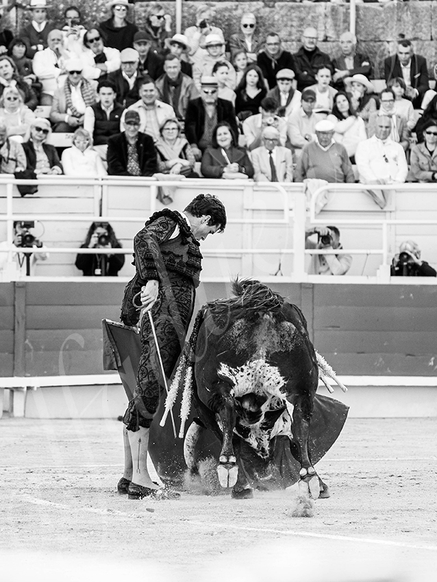 20260405 arles fd 008