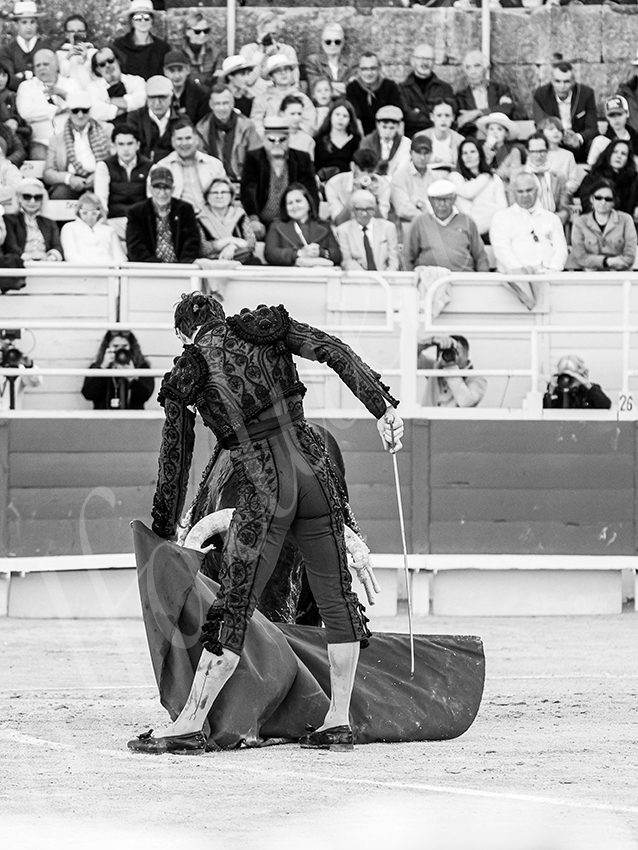 20260405 arles fd 007