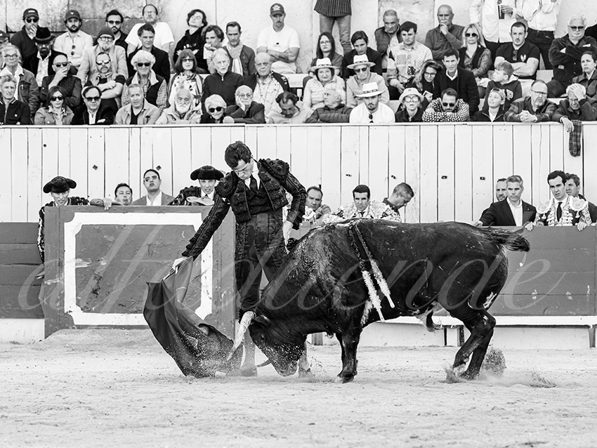 20260405 arles fd 006