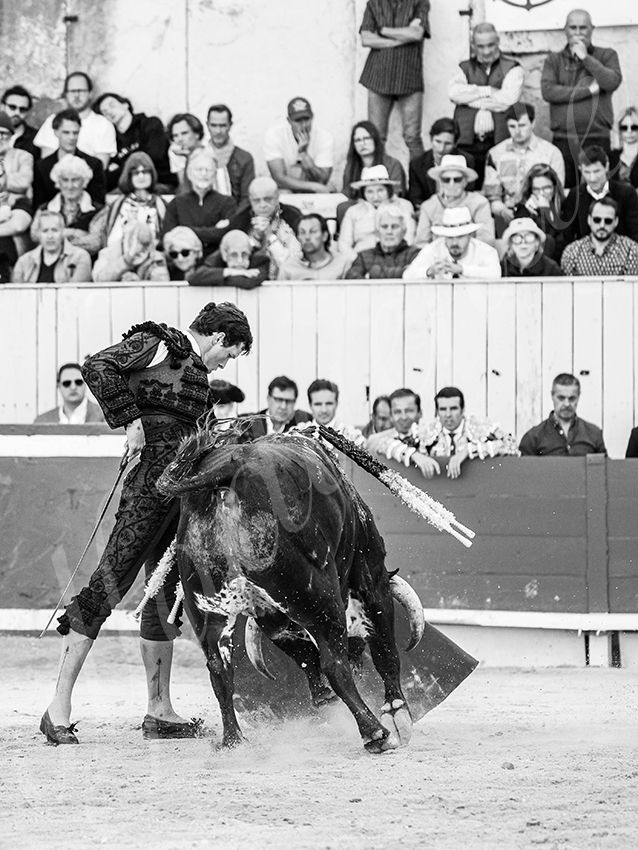 20260405 arles fd 005