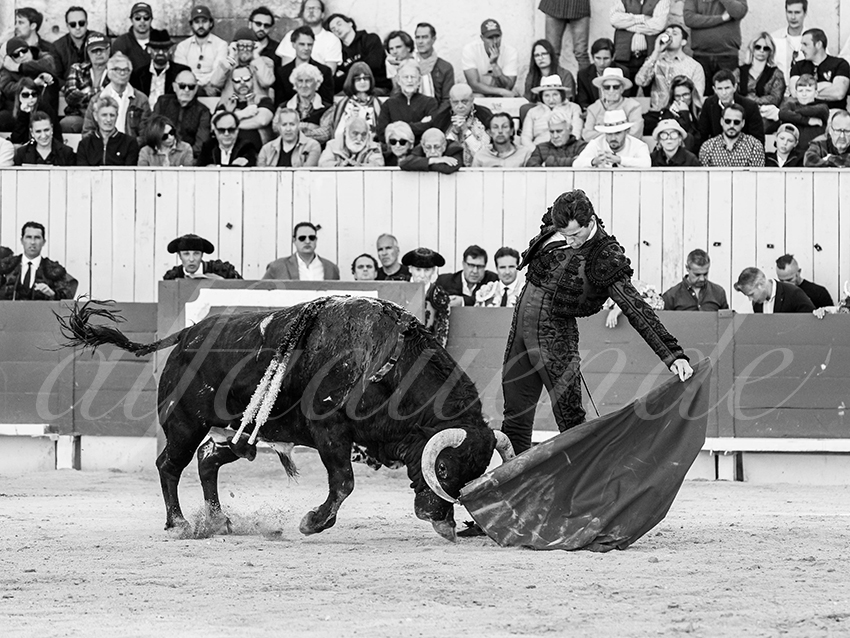 20260405 arles fd 004