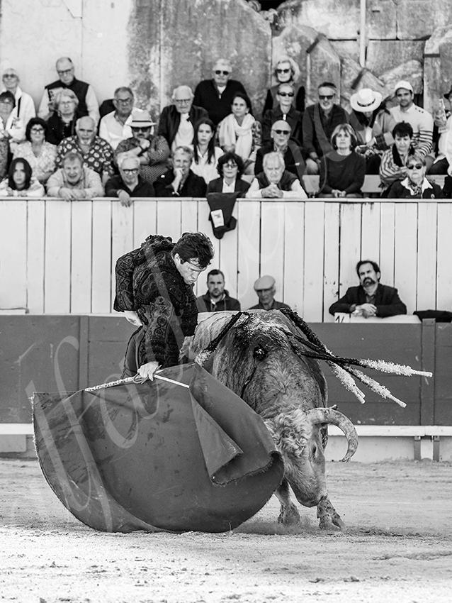 20260405 arles fd 003