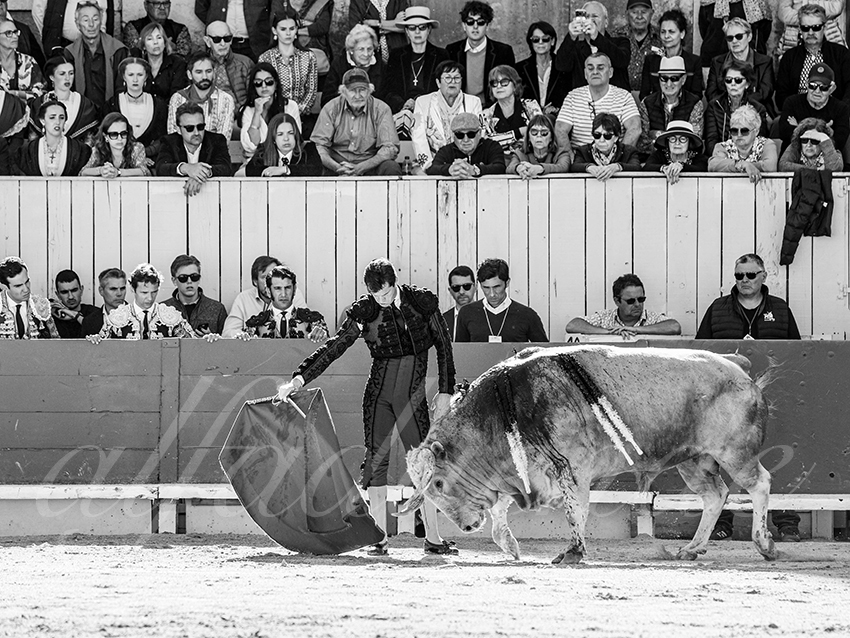 20260405 arles fd 002