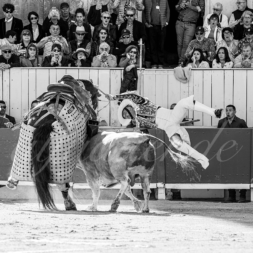 20260405 arles fd 001