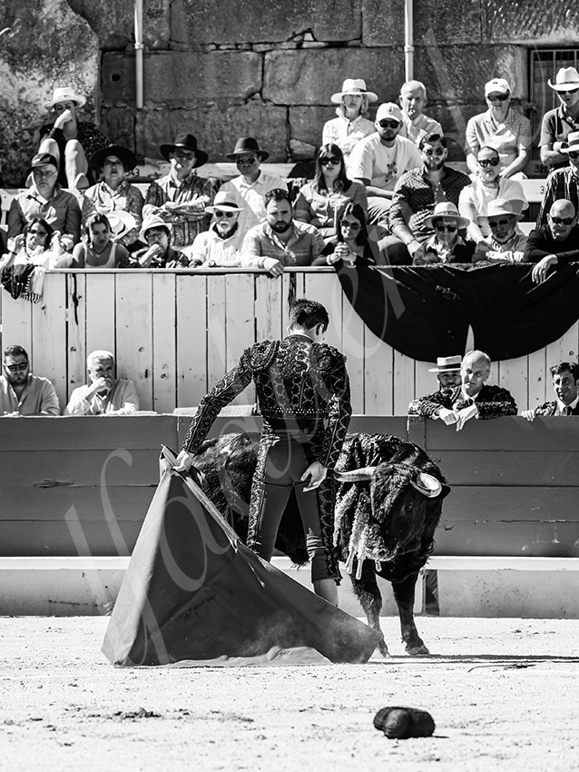 20260405 arles nov fd 034 copie