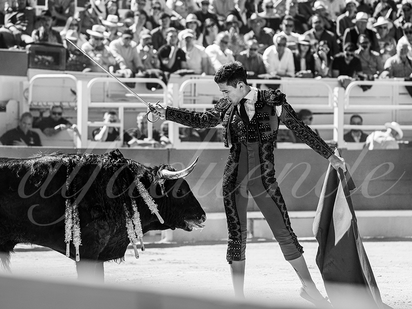 20260405 arles nov fd 033 copie