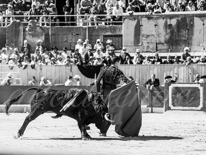 20260405 arles nov fd 032 copie