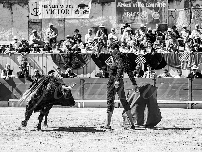 20260405 arles nov fd 031 copie