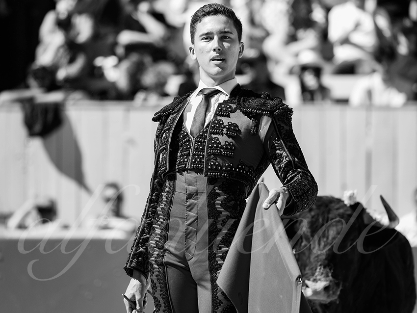 20260405 arles nov fd 030 copie