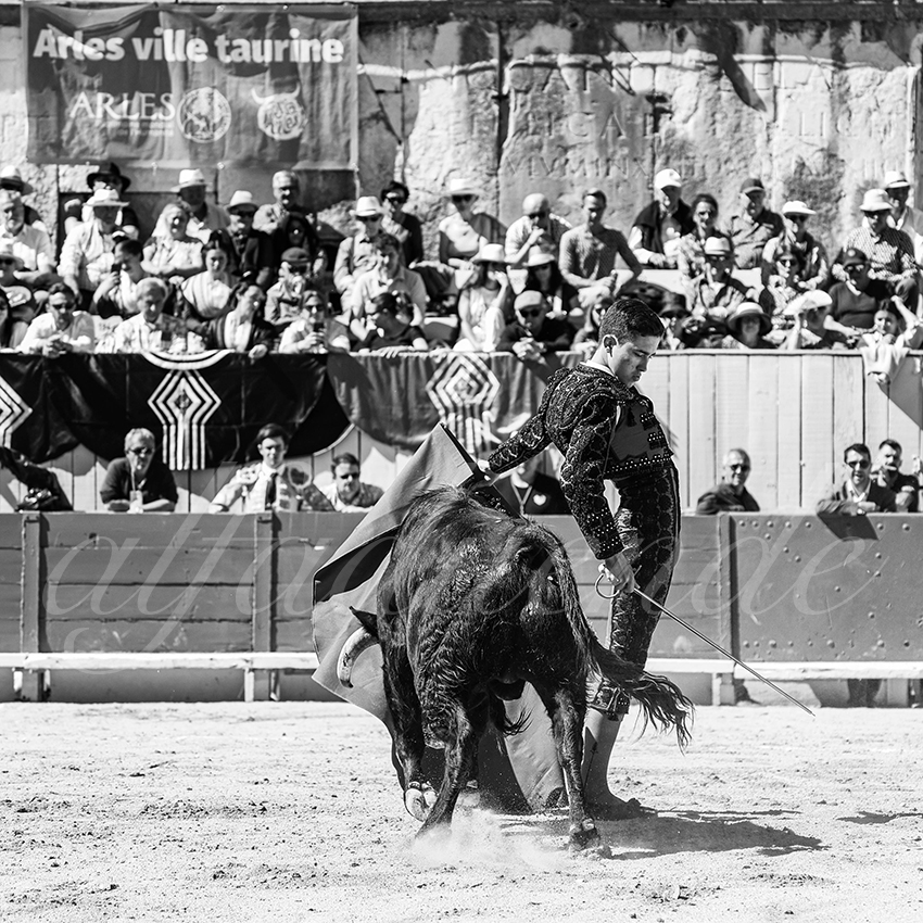 20260405 arles nov fd 029 copie