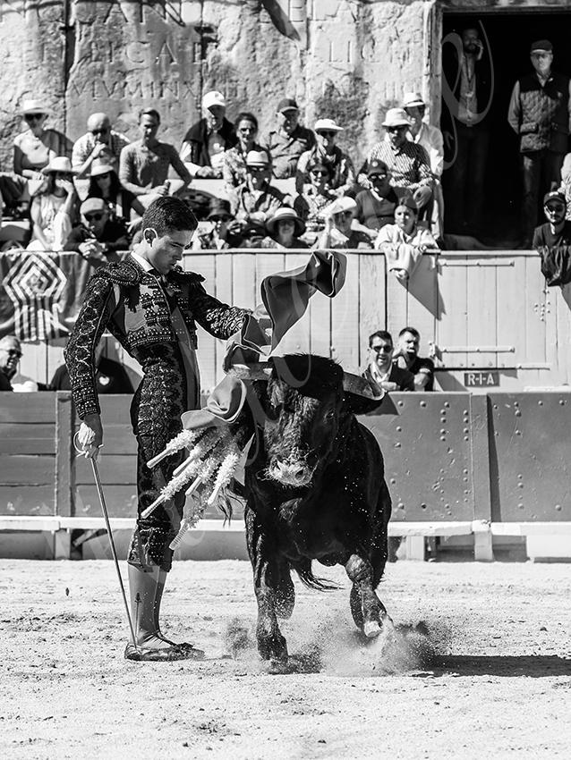 20260405 arles nov fd 028 copie