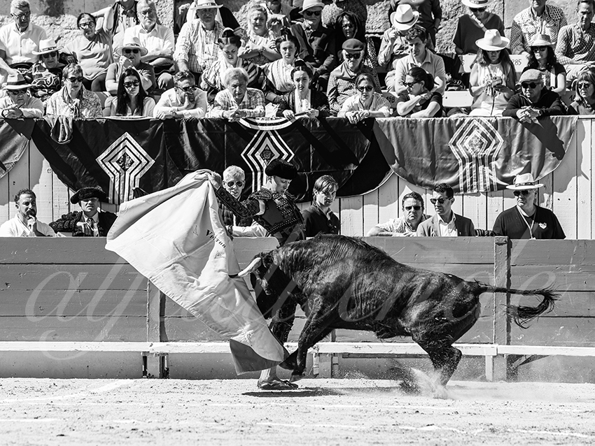 20260405 arles nov fd 027 copie