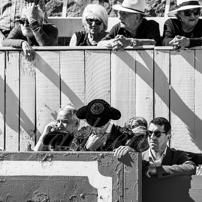 20260405 arles nov fd 026 copie