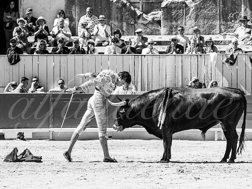 20260405 arles nov fd 024 copie