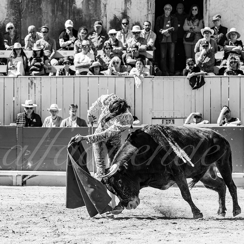 20260405 arles nov fd 022 copie