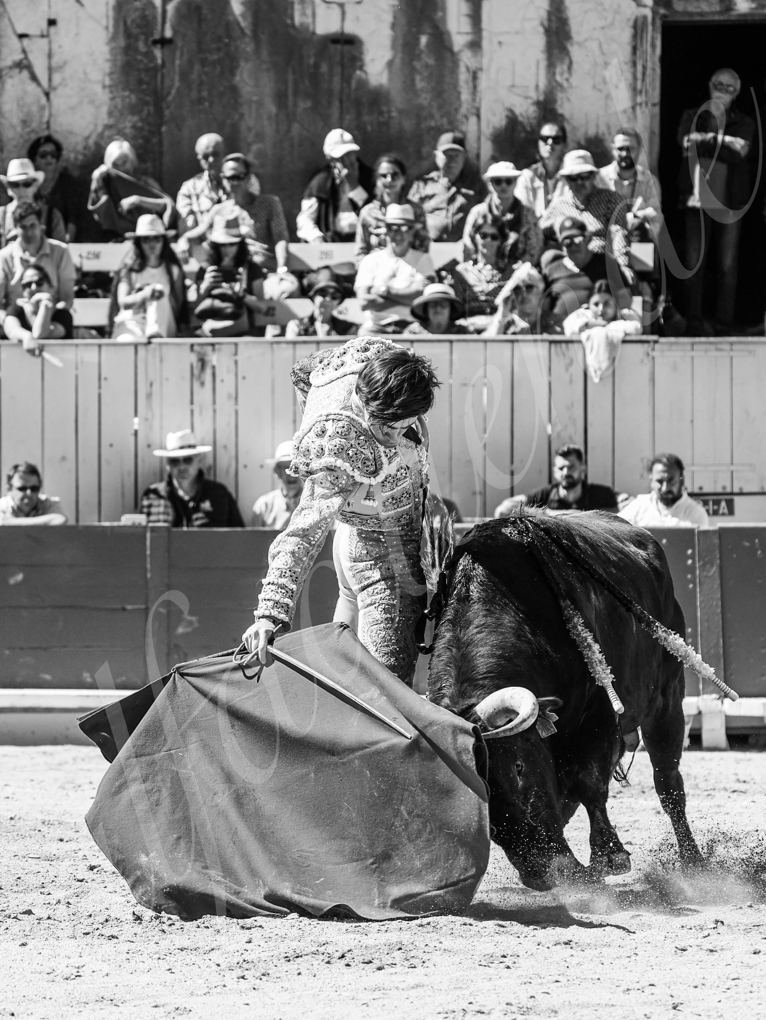 20260405 arles nov fd 021 copie