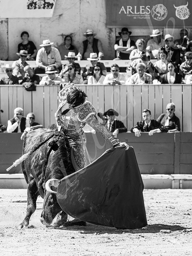 20260405 arles nov fd 020 copie