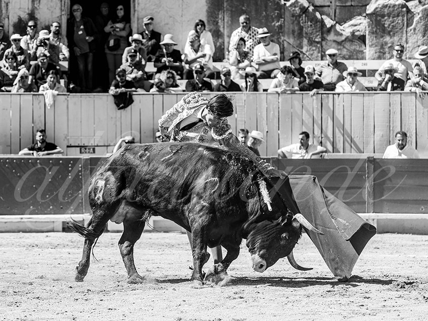 20260405 arles nov fd 019 copie