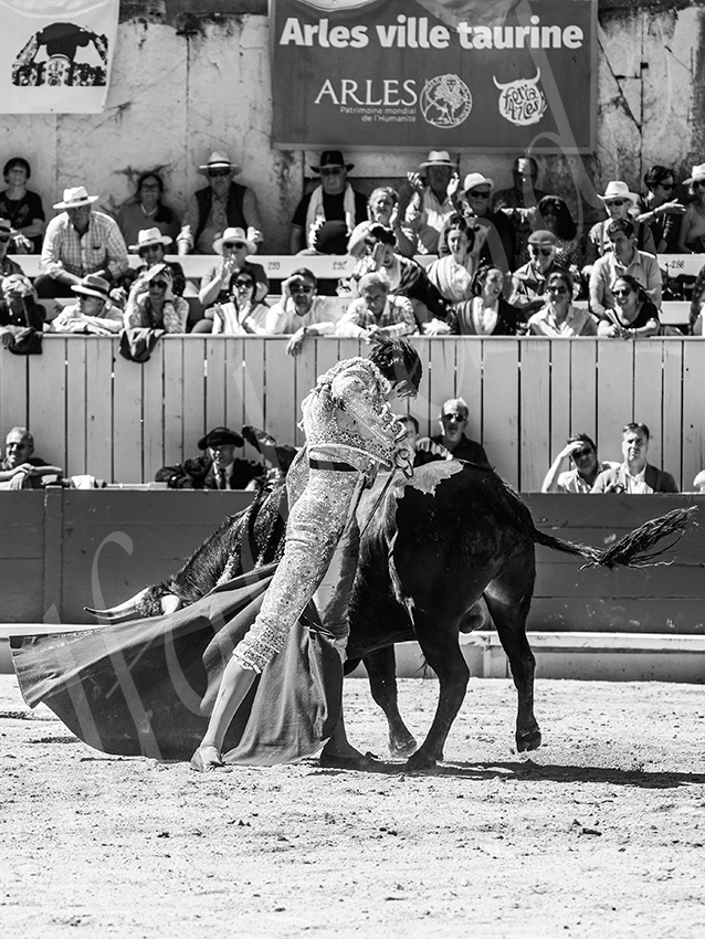 20260405 arles nov fd 018 copie