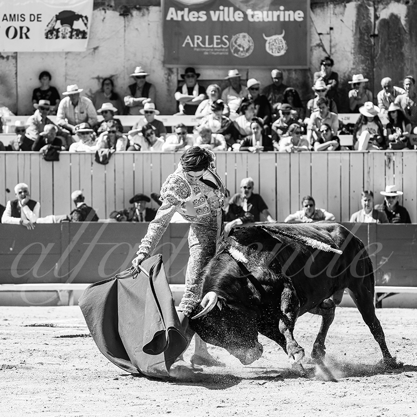 20260405 arles nov fd 017 copie